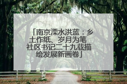 南京溧水洪蓝：乡土作纸、岁月为笔 社区书记二十九载描绘发展新画卷