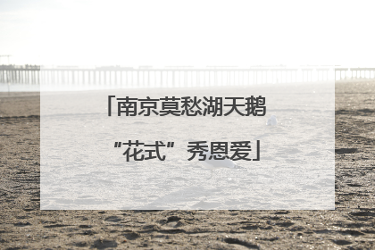 南京莫愁湖天鹅“花式”秀恩爱