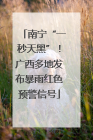 南宁“一秒天黑”！广西多地发布暴雨红色预警信号