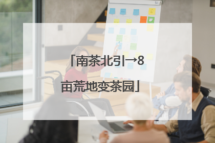 南茶北引→8亩荒地变茶园