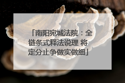 南阳宛城法院：全链条式释法说理 将定分止争做实做细