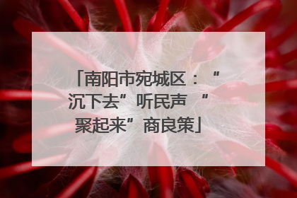 南阳市宛城区：“沉下去”听民声 “聚起来”商良策