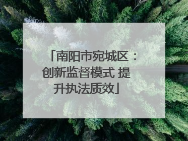 南阳市宛城区：创新监督模式 提升执法质效