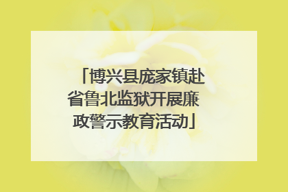 博兴县庞家镇赴省鲁北监狱开展廉政警示教育活动