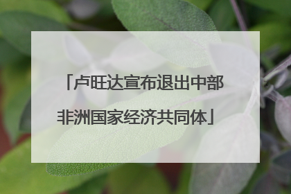 卢旺达宣布退出中部非洲国家经济共同体