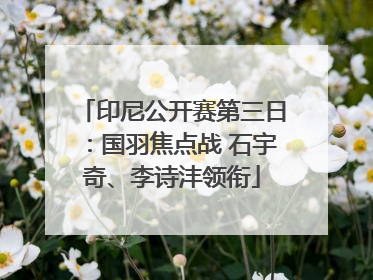 印尼公开赛第三日：国羽焦点战 石宇奇、李诗沣领衔
