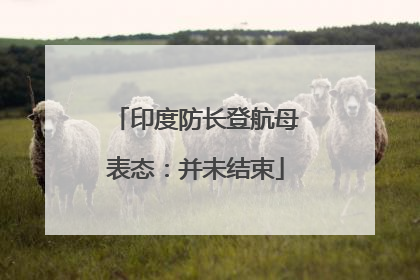 印度防长登航母表态：并未结束