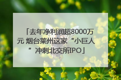 去年净利润超8000万元 烟台莱州这家“小巨人”冲刺北交所IPO