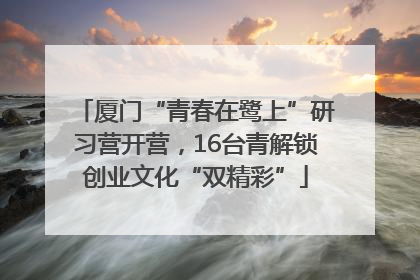 厦门“青春在鹭上”研习营开营，16台青解锁创业文化“双精彩”