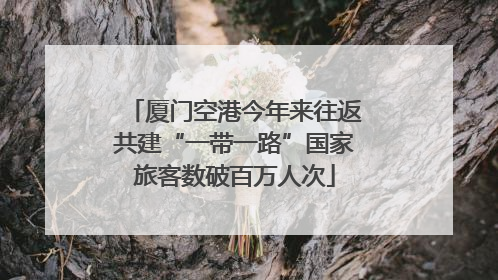 厦门空港今年来往返共建“一带一路”国家旅客数破百万人次