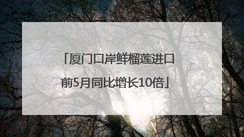 厦门口岸鲜榴莲进口 前5月同比增长10倍