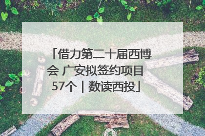 借力第二十届西博会 广安拟签约项目57个｜数读西投