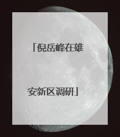 倪岳峰在雄安新区调研