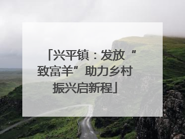 兴平镇：发放“致富羊”助力乡村振兴启新程
