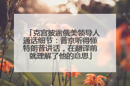 克宫披露俄美领导人通话细节：普京听得懂特朗普讲话，在翻译前就理解了他的意思
