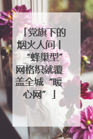 党旗下的烟火人间丨“蜂巢型”网格织就覆盖全城“暖心网”