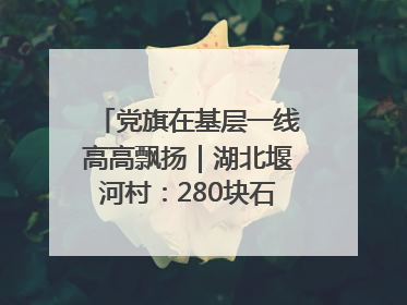 党旗在基层一线高高飘扬｜湖北堰河村：280块石头铺平“穷山沟”的致富振兴路