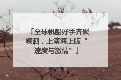 全球帆船好手齐聚嵊泗，上演海上版“速度与激情”