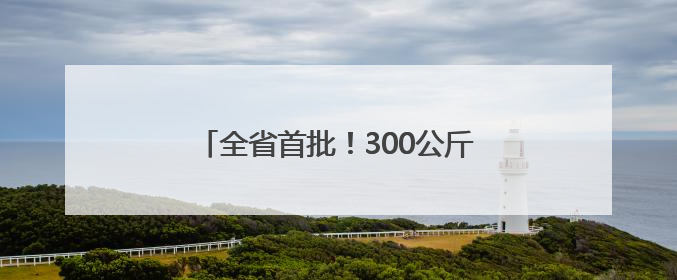 全省首批！300公斤出口鲜杨梅飞赴新加坡