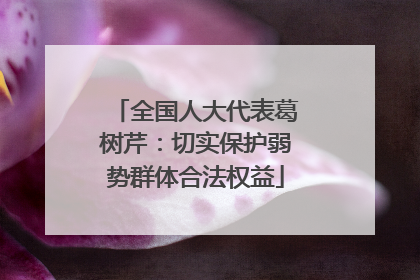全国人大代表葛树芹：切实保护弱势群体合法权益