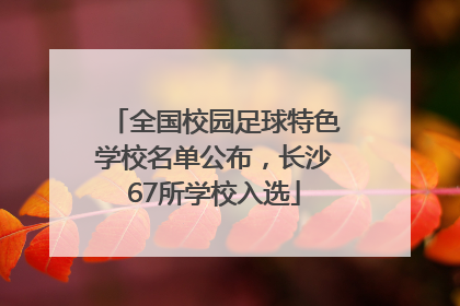全国校园足球特色学校名单公布，长沙67所学校入选