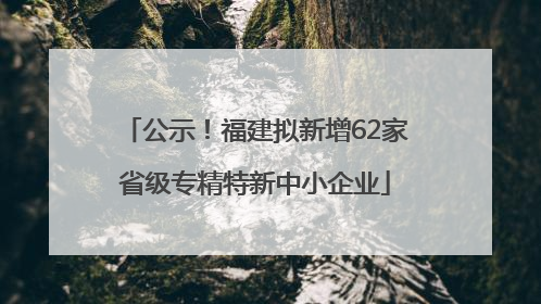 公示！福建拟新增62家省级专精特新中小企业