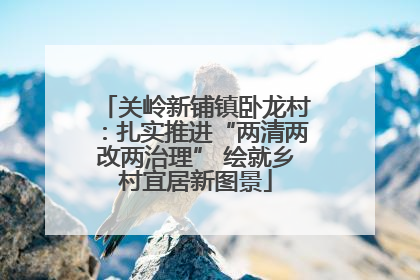 关岭新铺镇卧龙村：扎实推进“两清两改两治理” 绘就乡村宜居新图景