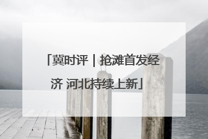 冀时评｜抢滩首发经济 河北持续上新