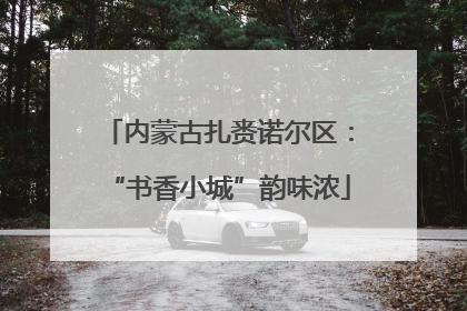 内蒙古扎赉诺尔区：“书香小城”韵味浓