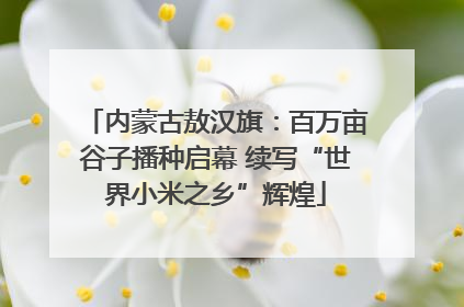 内蒙古敖汉旗：百万亩谷子播种启幕 续写“世界小米之乡”辉煌