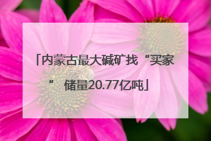 内蒙古最大碱矿找“买家” 储量20.77亿吨
