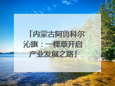 内蒙古阿鲁科尔沁旗：一棵草开启产业发展之路