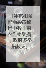 冰雹和强降雨袭击致巴中数千亩农作物受损，政府多举措救灾