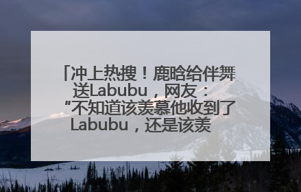 冲上热搜！鹿晗给伴舞送Labubu，网友：“不知道该羡慕他收到了Labubu，还是该羡慕鹿晗送他礼物”