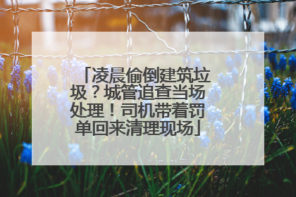 凌晨偷倒建筑垃圾？城管追查当场处理！司机带着罚单回来清理现场