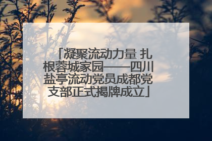 凝聚流动力量 扎根蓉城家园——四川盐亭流动党员成都党支部正式揭牌成立