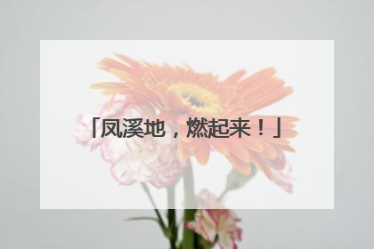 凤溪地，燃起来！