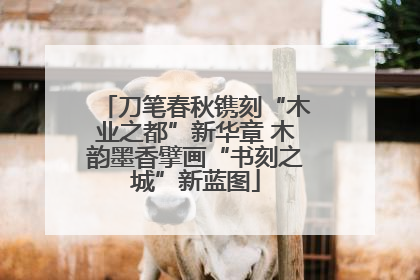 刀笔春秋镌刻“木业之都”新华章 木韵墨香擘画“书刻之城”新蓝图