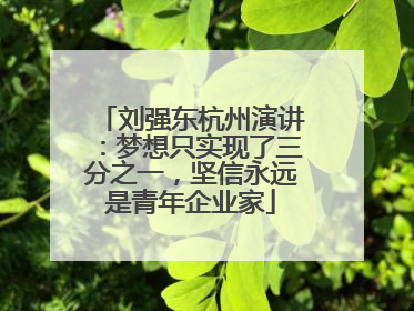 刘强东杭州演讲：梦想只实现了三分之一，坚信永远是青年企业家