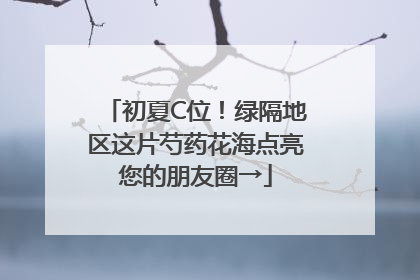 初夏C位！绿隔地区这片芍药花海点亮您的朋友圈→