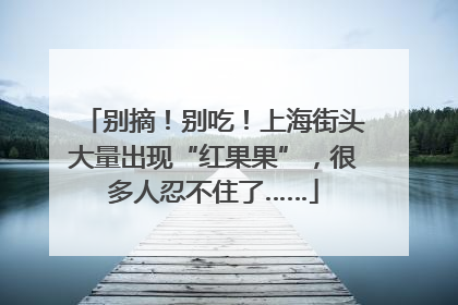 别摘！别吃！上海街头大量出现“红果果”，很多人忍不住了……