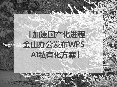 加速国产化进程 金山办公发布WPS AI私有化方案