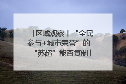 区域观察丨“全民参与+城市荣誉”的“苏超”能否复制