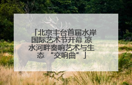 北京丰台首届水岸国际艺术节开幕 凉水河畔奏响艺术与生态 “交响曲”
