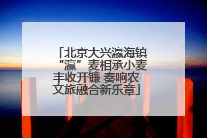 北京大兴瀛海镇“瀛”麦相承小麦丰收开镰 奏响农文旅融合新乐章