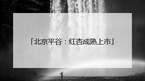 北京平谷：红杏成熟上市