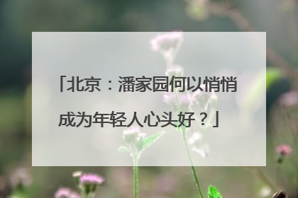 北京：潘家园何以悄悄成为年轻人心头好？