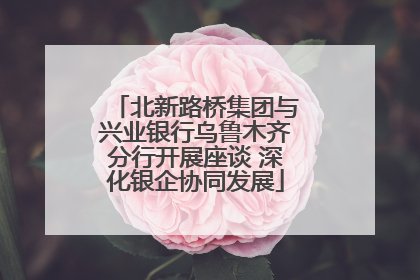 北新路桥集团与兴业银行乌鲁木齐分行开展座谈 深化银企协同发展