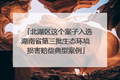 北湖区这个案子入选湖南省第三批生态环境损害赔偿典型案例