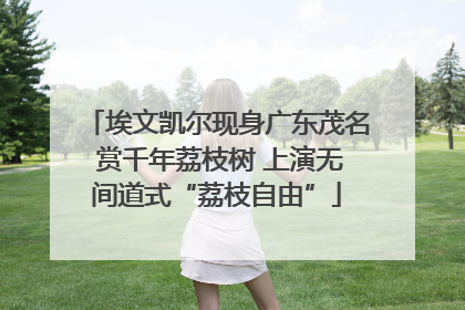 埃文凯尔现身广东茂名 赏千年荔枝树 上演无间道式“荔枝自由”